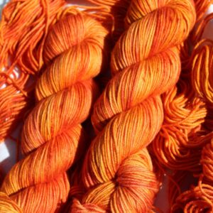 Pumpkin Patch | Hand Dyed Yarn | DK Weight